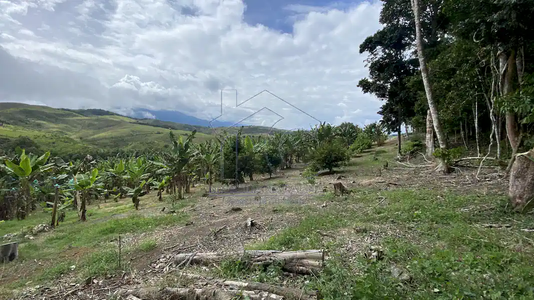 Finca La Esperanza
